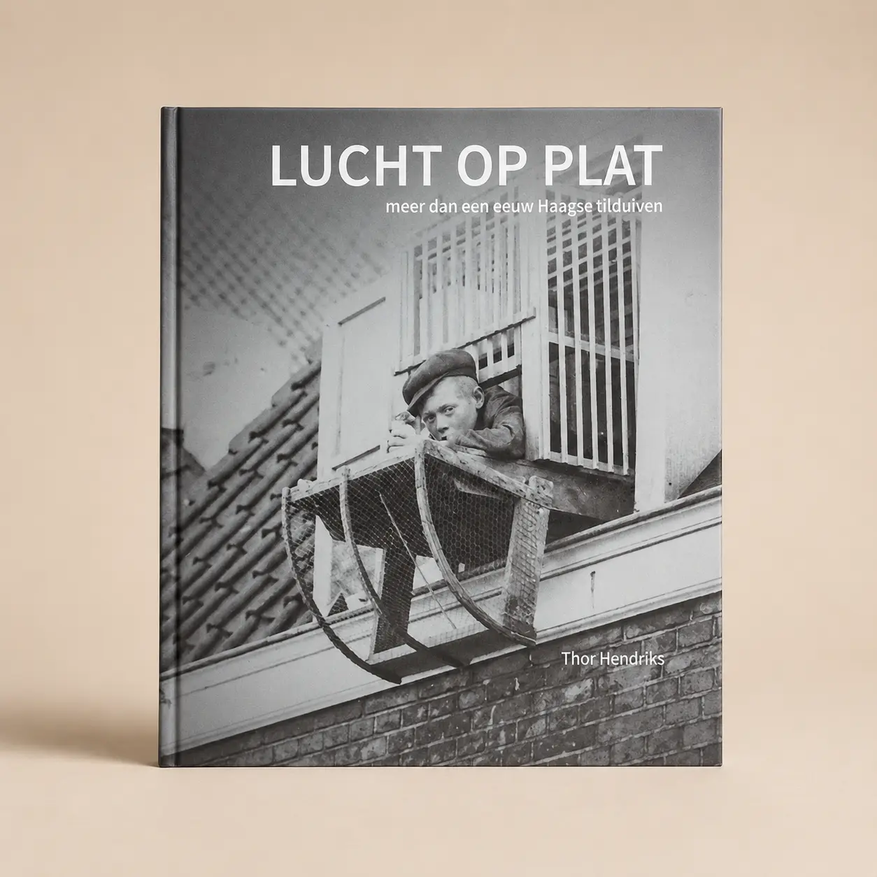 Lucht op plat - uniek Haags document